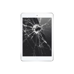 iPad mini Glass & LCD Repair Service